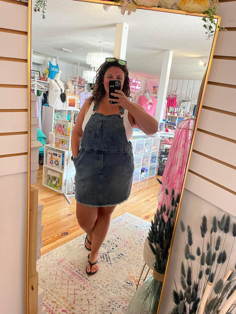 Sonny Denim Overall Dress